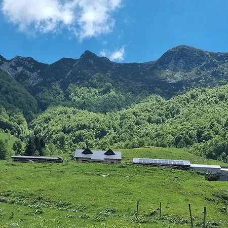 La Casa Di Anna - Digital Detox